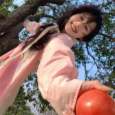 极主夫道 电影版